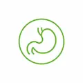Digestion Icon
